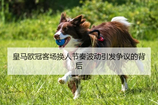 皇马欧冠客场换人节奏波动引发争议的背后